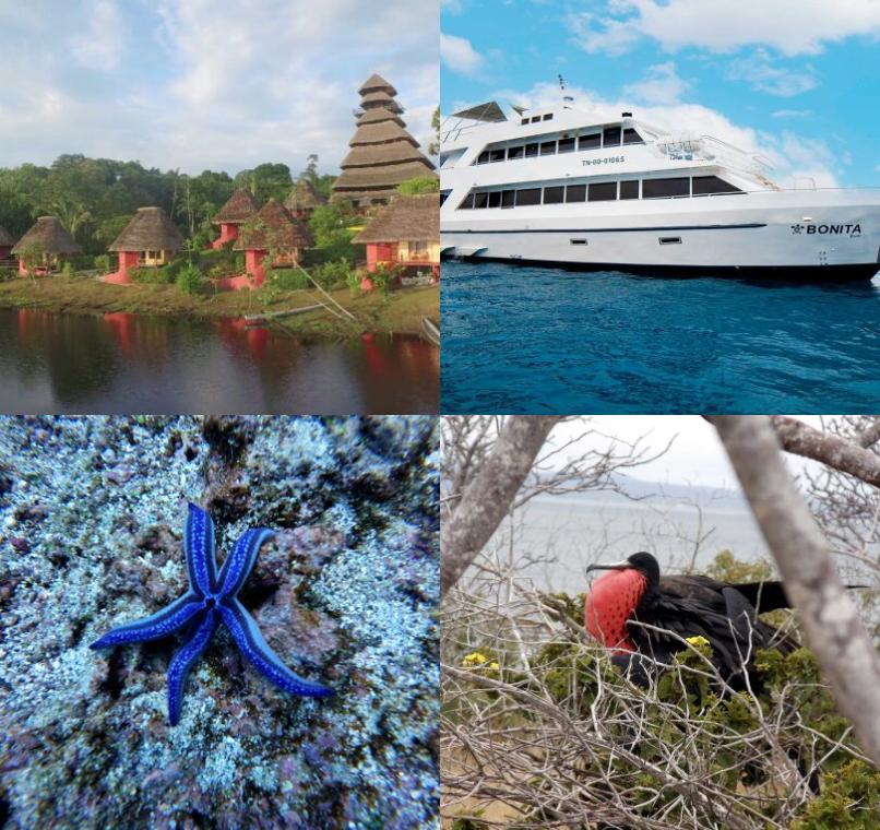 Galapagos Lastminutes & Jungle Tours