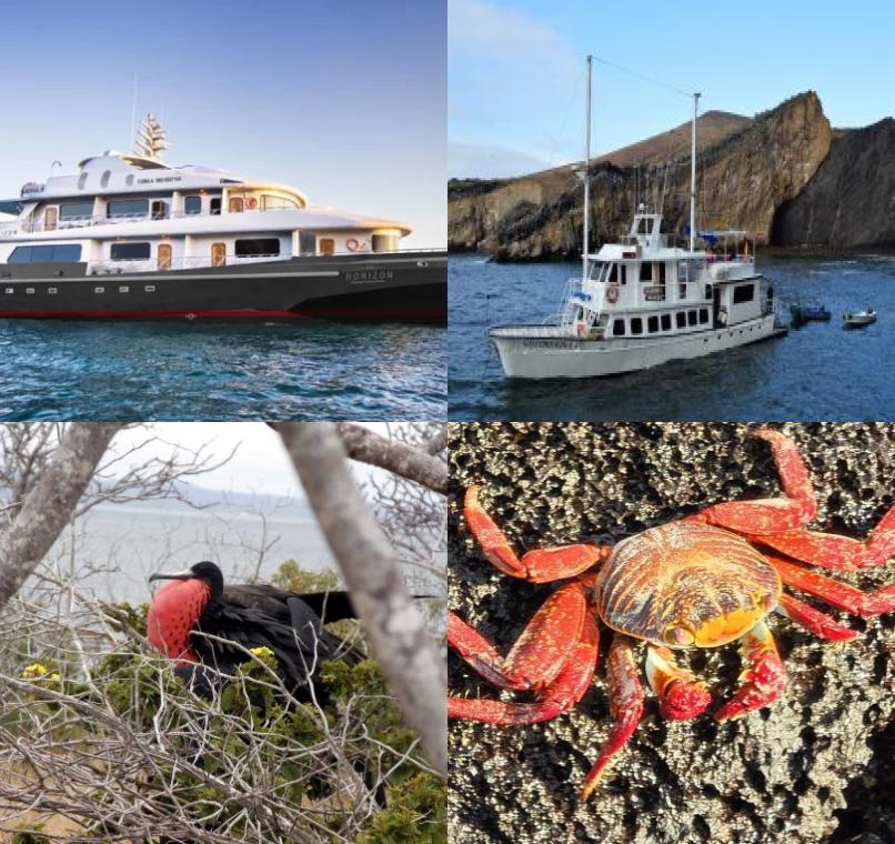 Galapagos Lastminutes & Jungle Tours