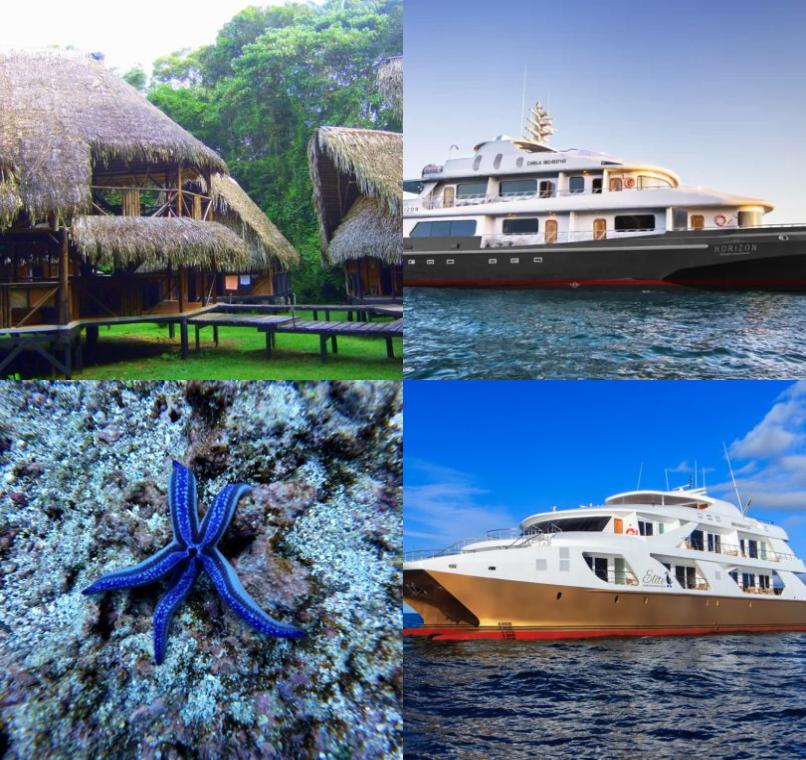 Galapagos Lastminutes & Jungle Tours