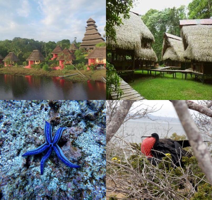 Galapagos Lastminutes & Jungle Tours
