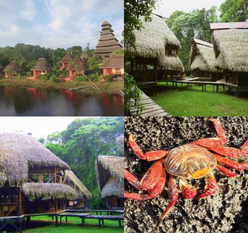 Galapagos Lastminutes & Jungle Tours