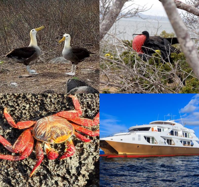 Galapagos Lastminutes & Jungle Tours