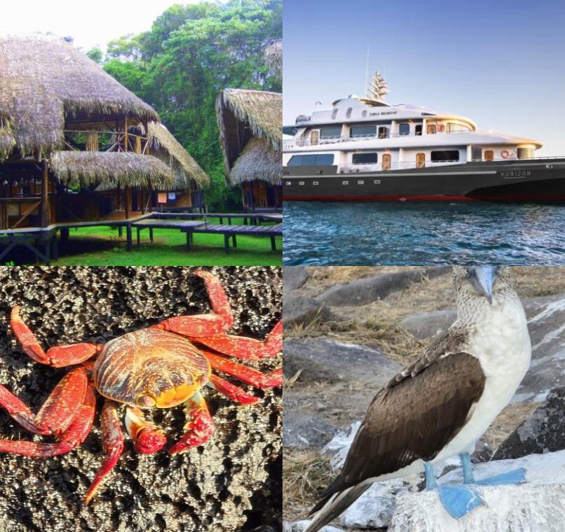 Galapagos Lastminutes & Jungle Tours