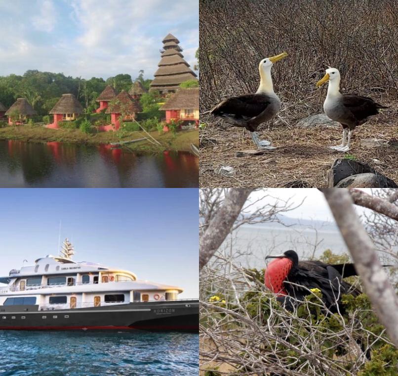 Galapagos Lastminutes & Jungle Tours