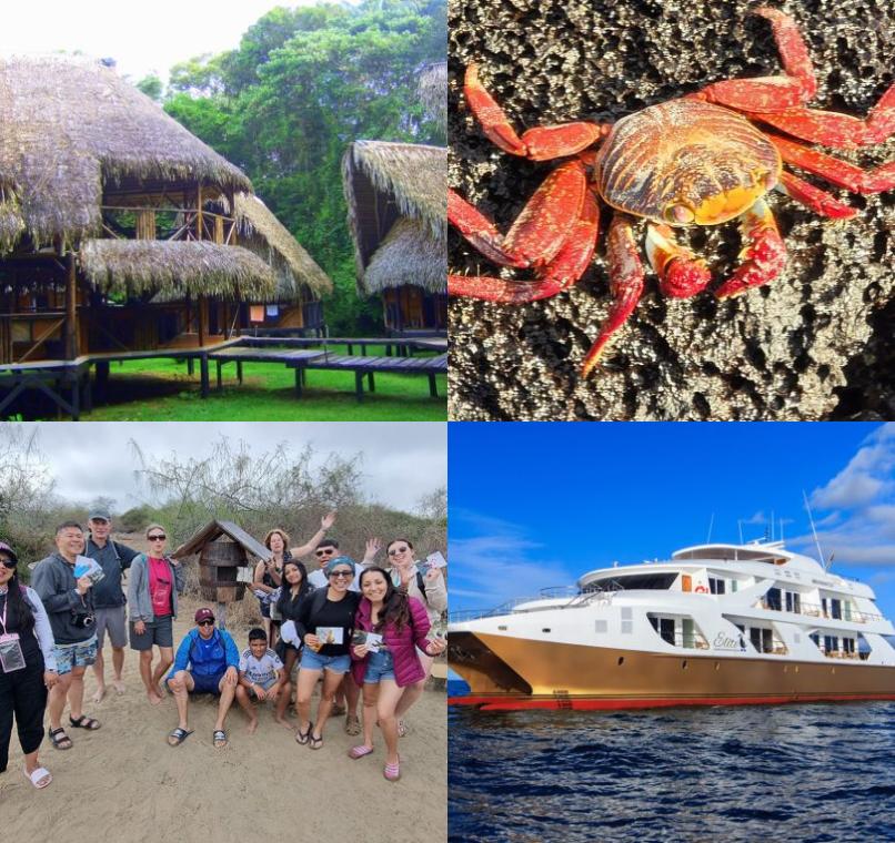 Galapagos Lastminutes & Jungle Tours