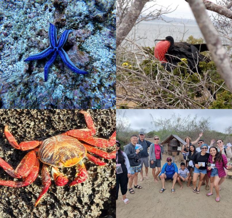 Galapagos Lastminutes & Jungle Tours