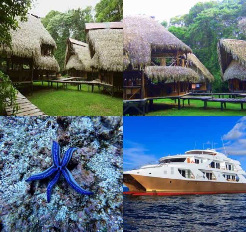 Galapagos Lastminutes & Jungle Tours