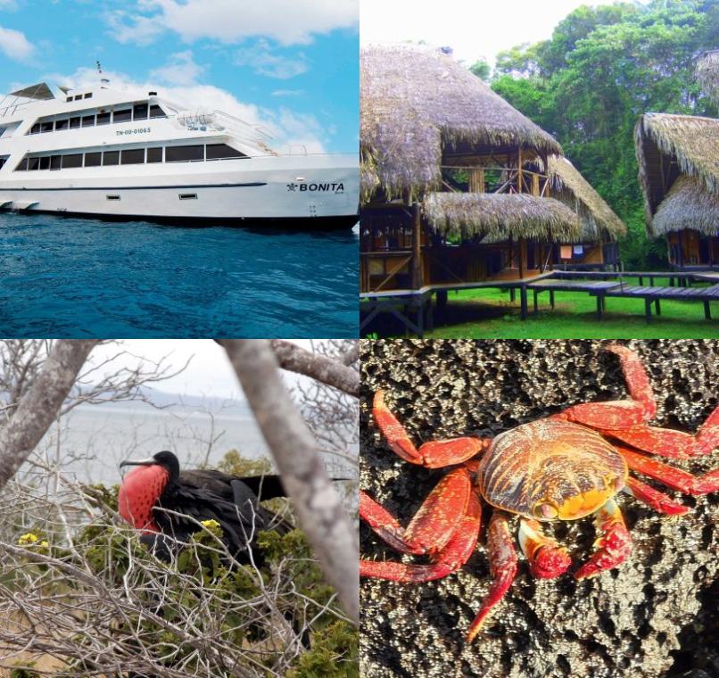Galapagos Lastminutes & Jungle Tours