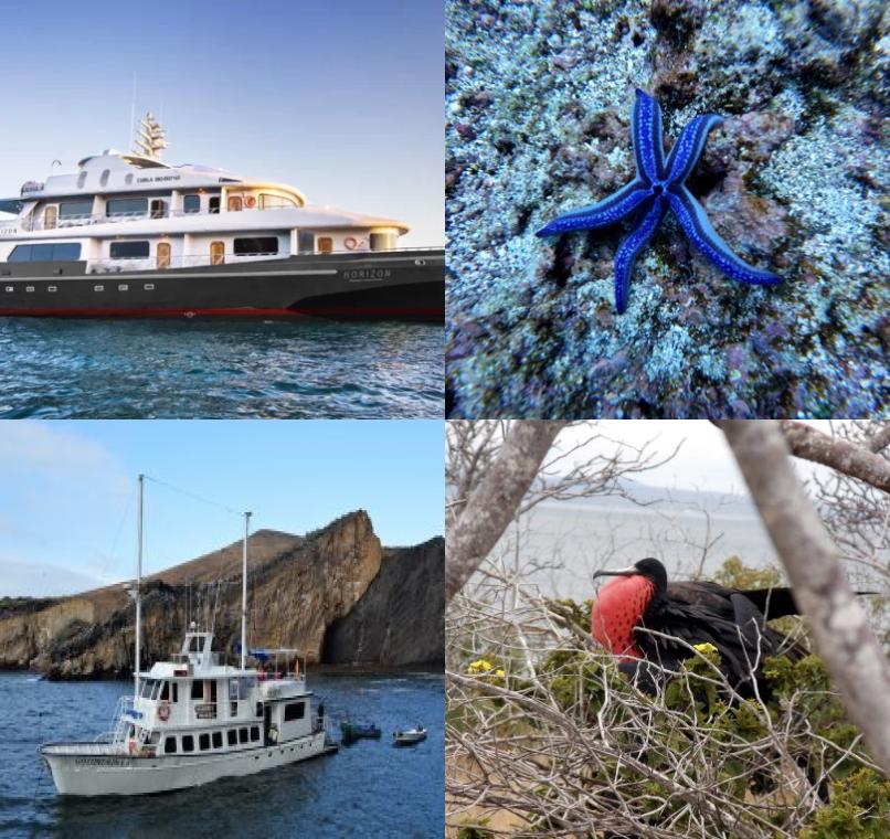 Galapagos Lastminutes & Jungle Tours