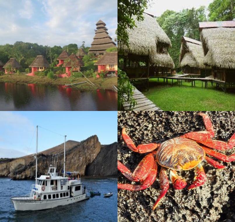 Galapagos Lastminutes & Jungle Tours