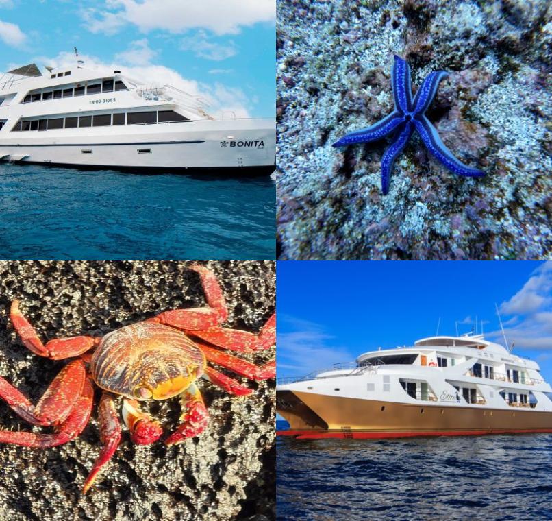 Galapagos Lastminutes & Jungle Tours