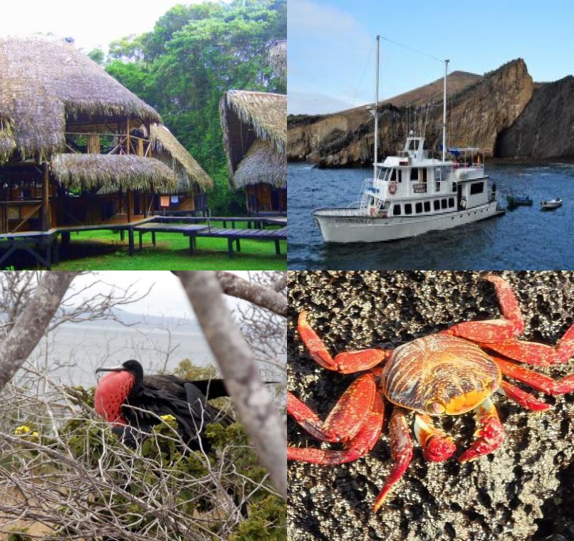 Galapagos Lastminutes & Jungle Tours