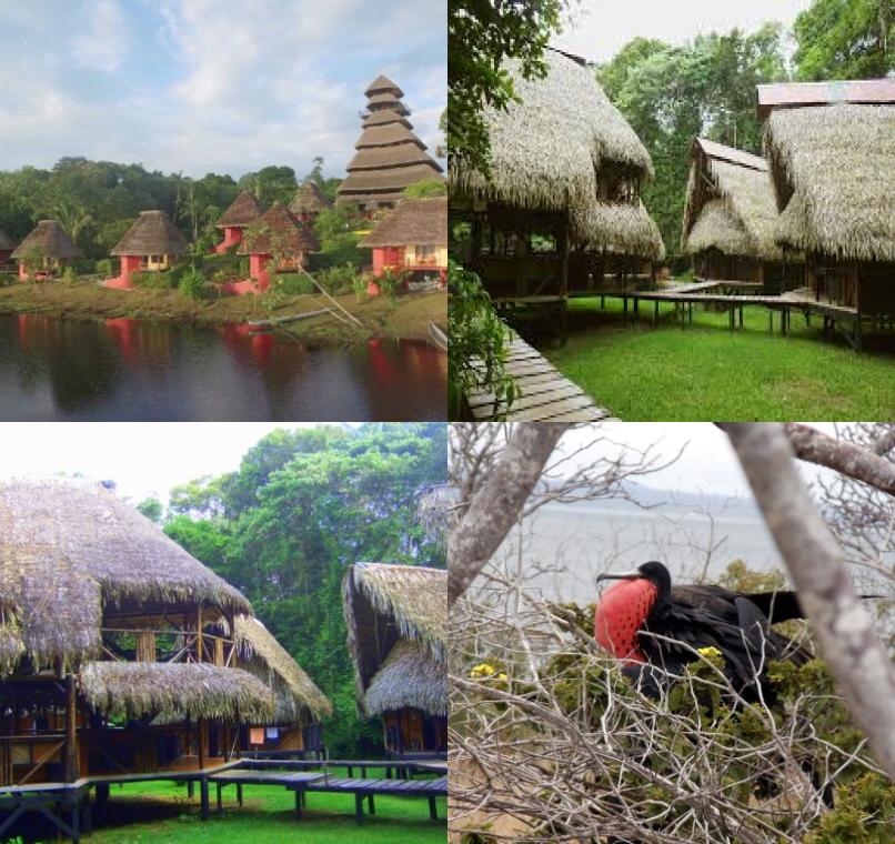 Galapagos Lastminutes & Jungle Tours