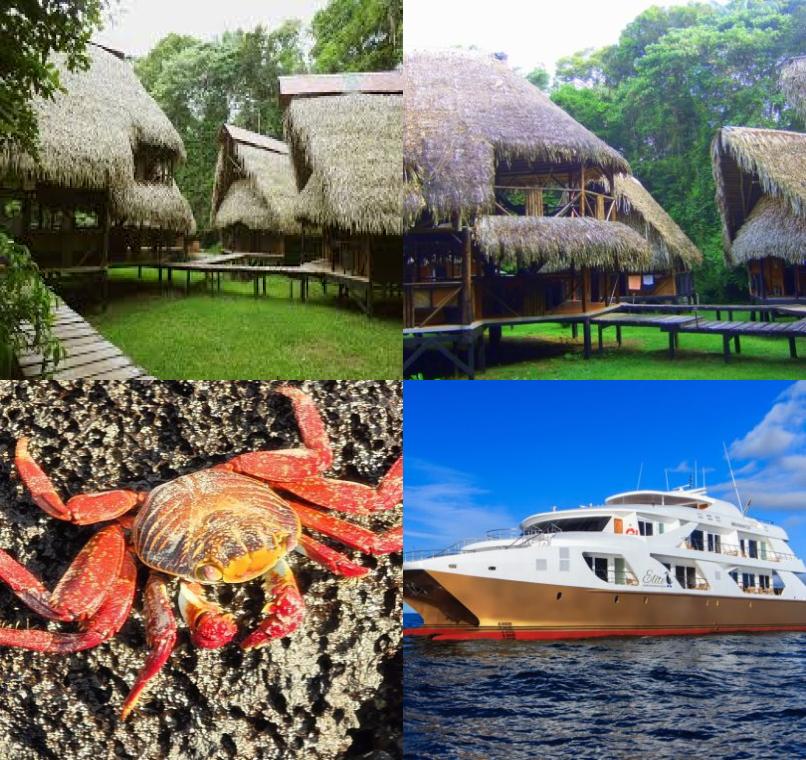 Galapagos Lastminutes & Jungle Tours