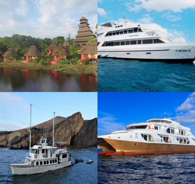 Galapagos Lastminutes & Jungle Tours