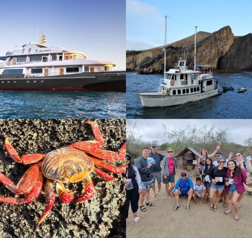 Galapagos Lastminutes & Jungle Tours