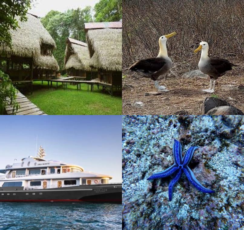 Galapagos Lastminutes & Jungle Tours