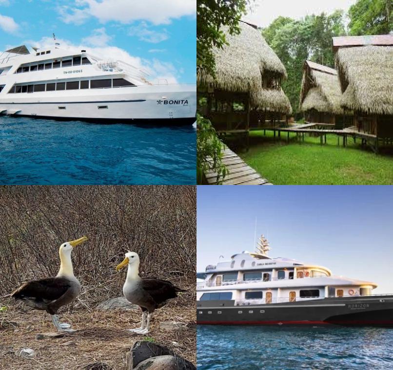 Galapagos Lastminutes & Jungle Tours