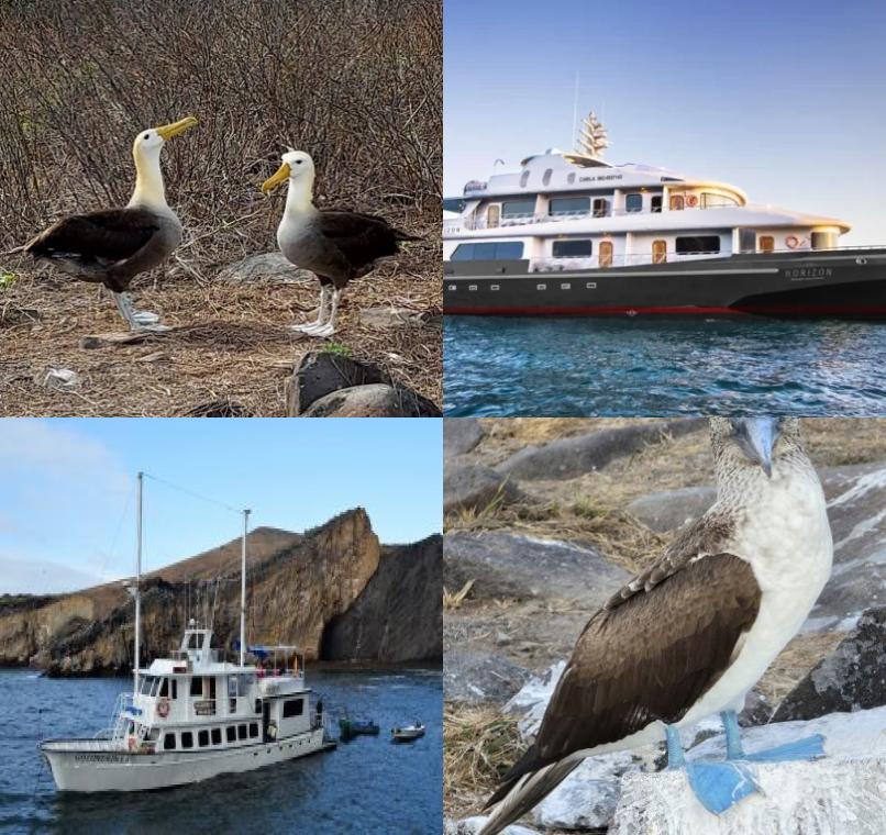 Galapagos Lastminutes & Jungle Tours