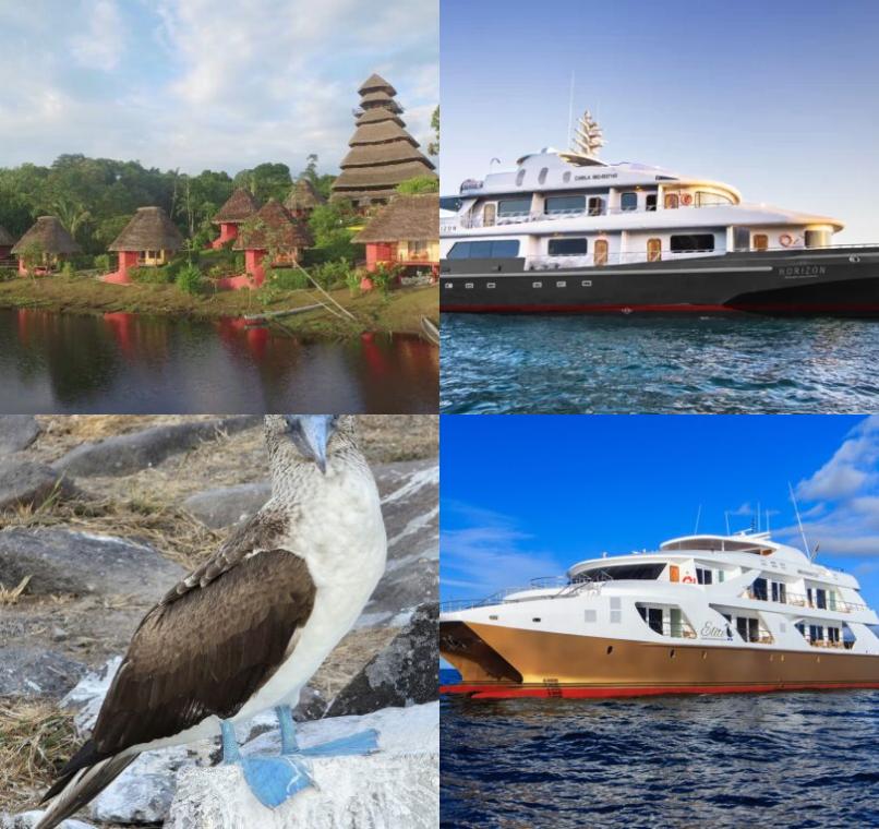 Galapagos Lastminutes & Jungle Tours