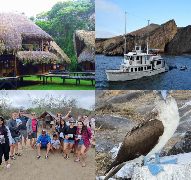 Galapagos Lastminutes & Jungle Tours