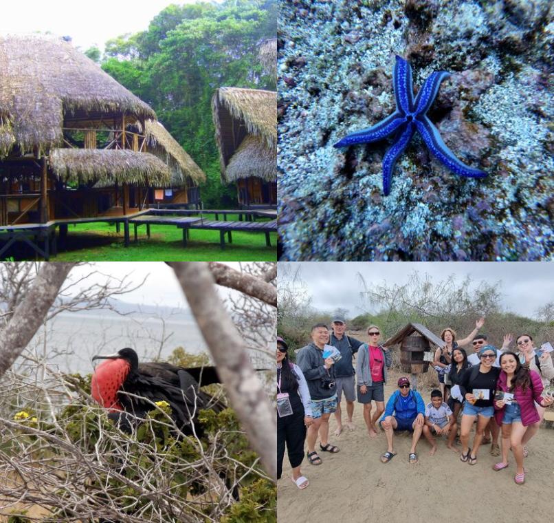 Galapagos Lastminutes & Jungle Tours