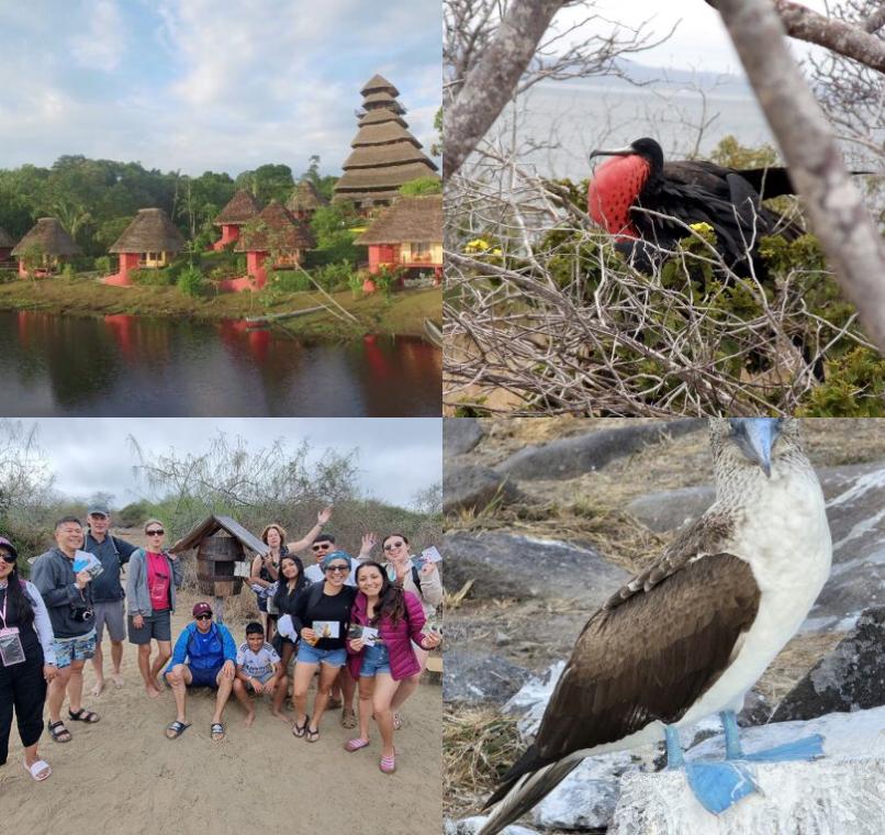Galapagos Lastminutes & Jungle Tours