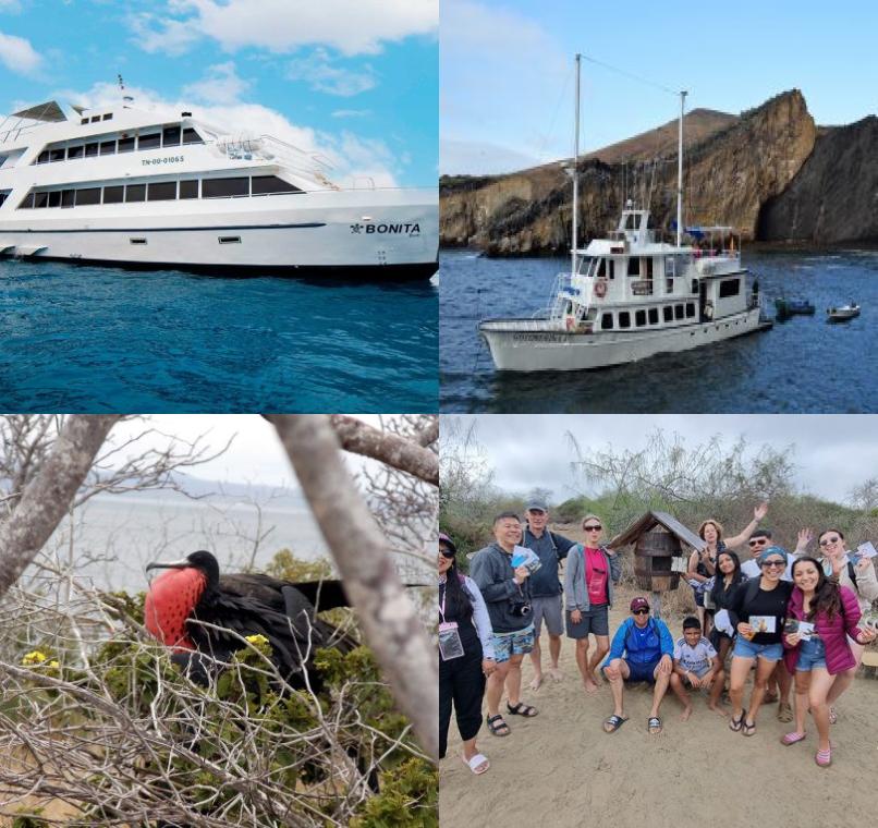 Galapagos Lastminutes & Jungle Tours