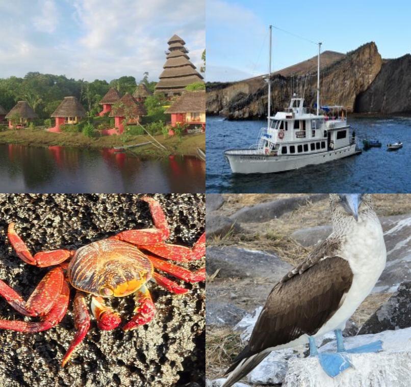 Galapagos Lastminutes & Jungle Tours