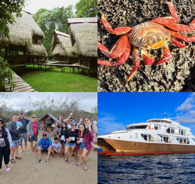 Galapagos Lastminutes & Jungle Tours
