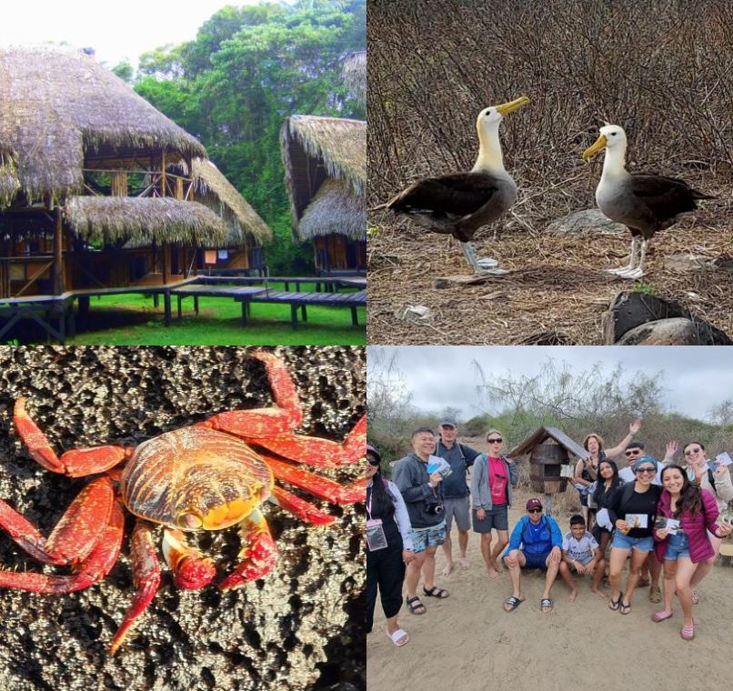 Galapagos Lastminutes & Jungle Tours