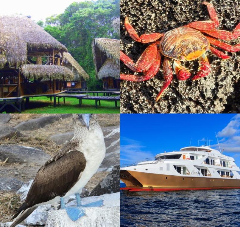 Galapagos Lastminutes & Jungle Tours