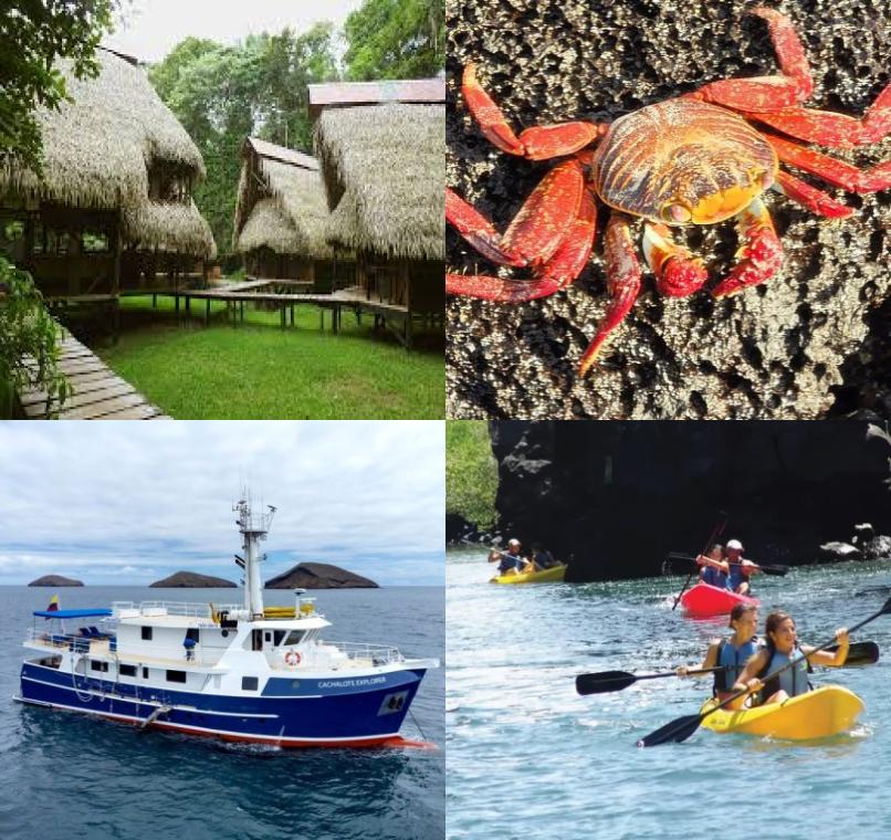Galapagos Lastminutes & Jungle Tours