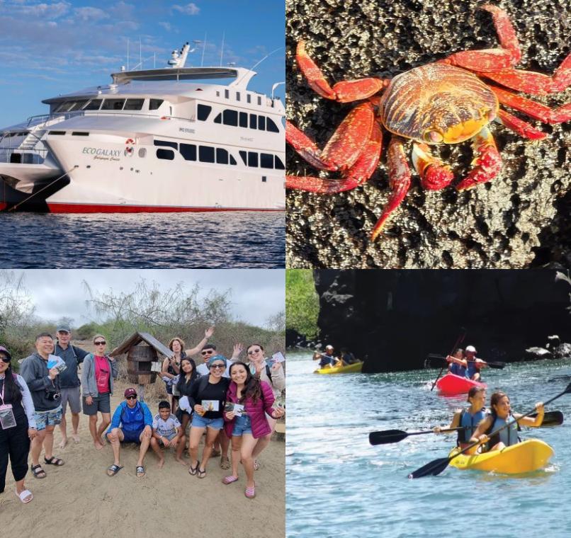 Galapagos Lastminutes & Jungle Tours