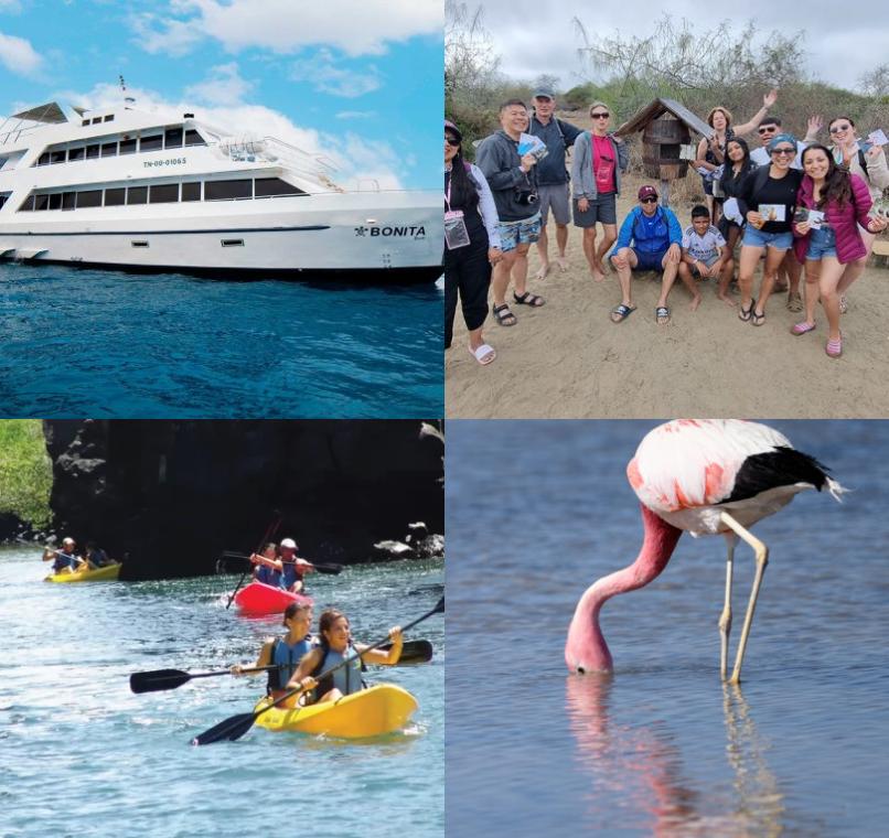 Galapagos Lastminutes & Jungle Tours