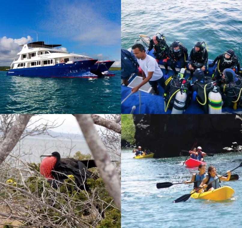 Galapagos Lastminutes & Jungle Tours