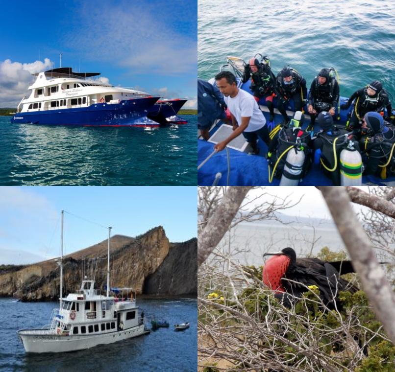 Galapagos Lastminutes & Jungle Tours