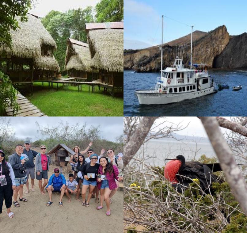 Galapagos Lastminutes & Jungle Tours