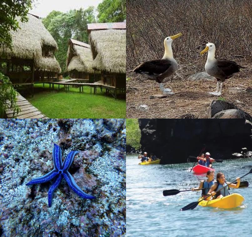 Galapagos Lastminutes & Jungle Tours