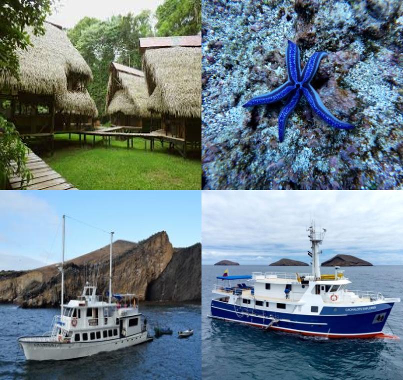 Galapagos Lastminutes & Jungle Tours