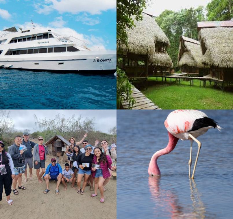 Galapagos Lastminutes & Jungle Tours
