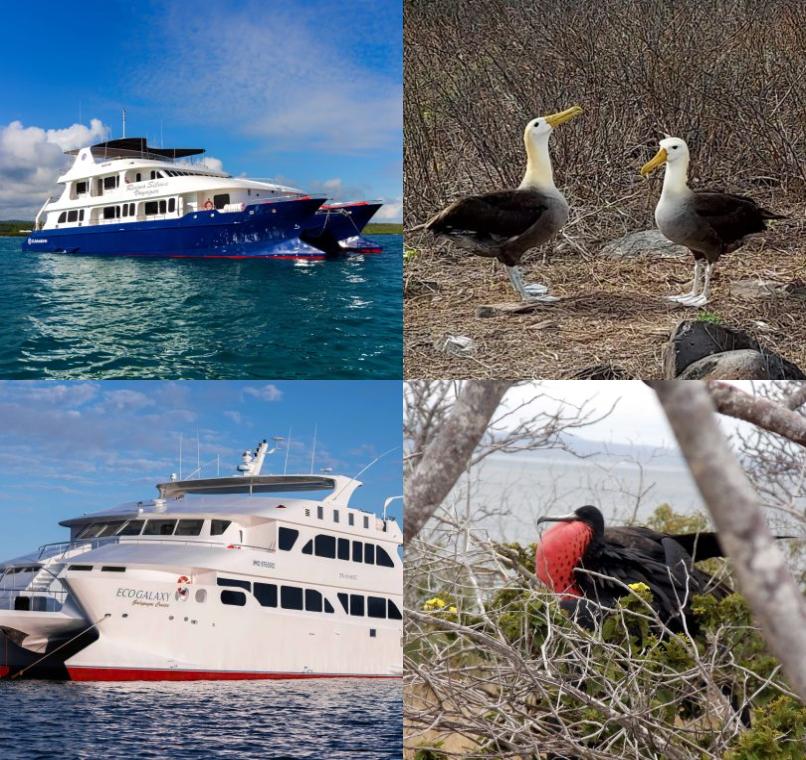 Galapagos Lastminutes & Jungle Tours