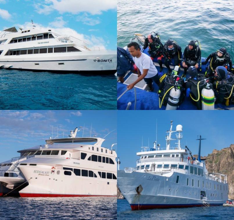 Galapagos Lastminutes & Jungle Tours