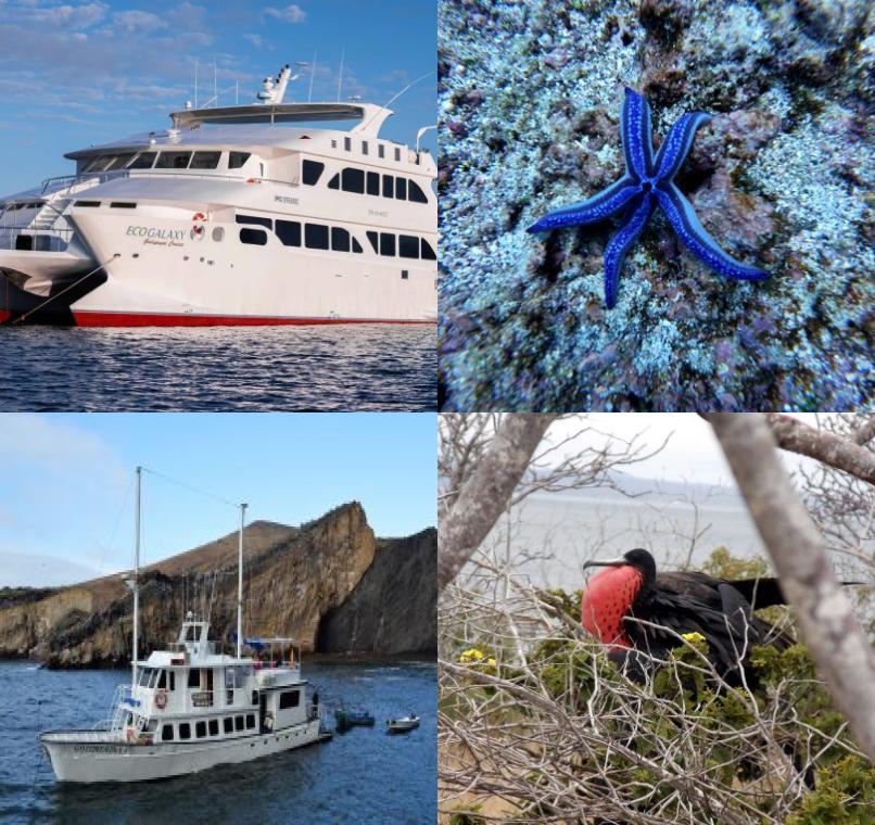 Galapagos Lastminutes & Jungle Tours