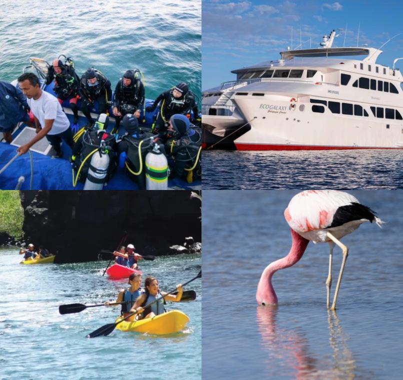 Galapagos Lastminutes & Jungle Tours