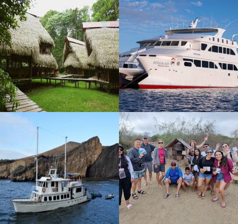 Galapagos Lastminutes & Jungle Tours