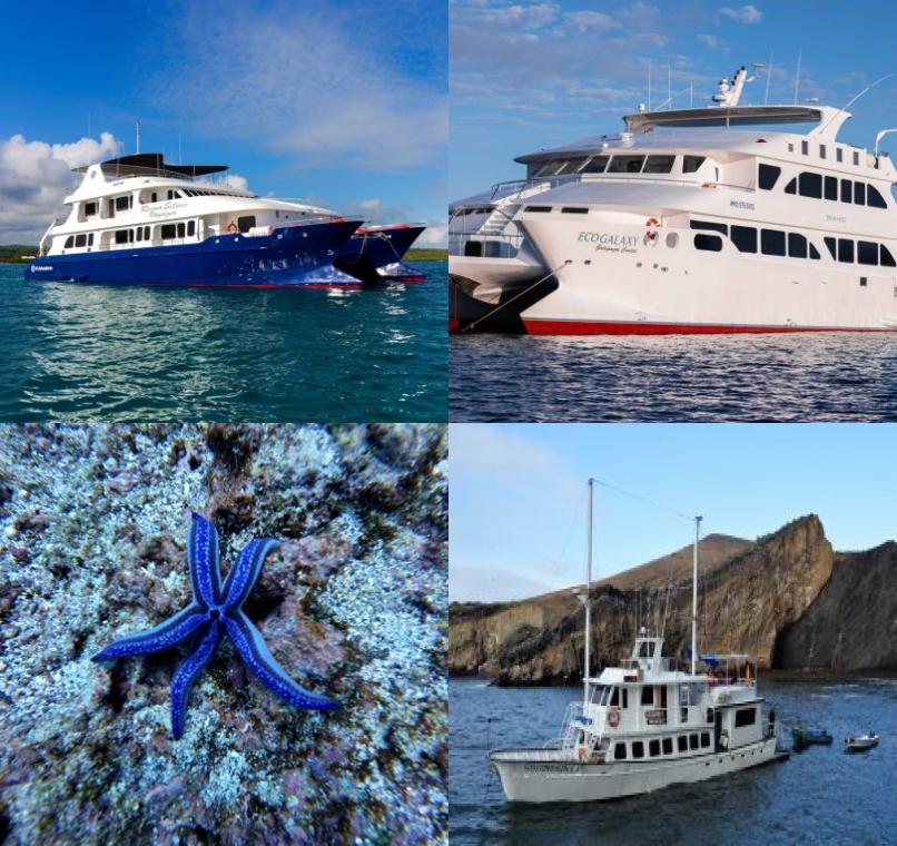 Galapagos Lastminutes & Jungle Tours