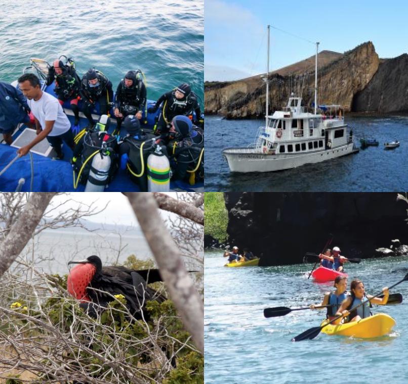 Galapagos Lastminutes & Jungle Tours