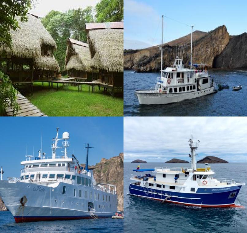 Galapagos Lastminutes & Jungle Tours