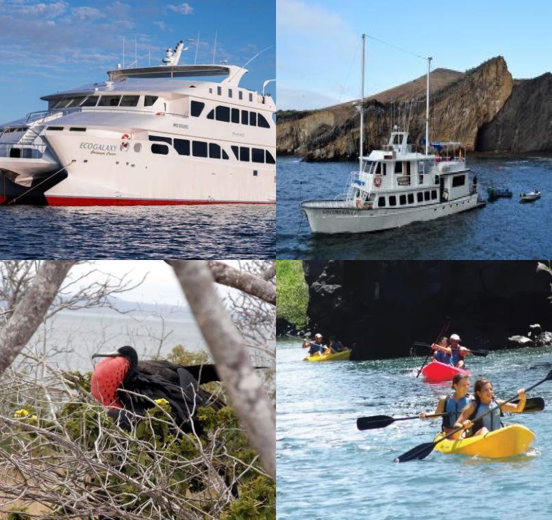 Galapagos Lastminutes & Jungle Tours